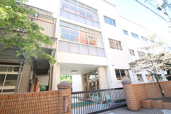 画像11:名古屋市立葵小学校