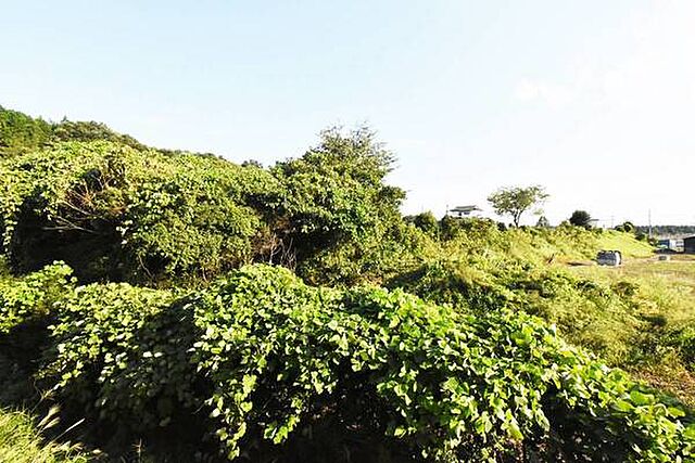 ビレッジハウスの同一物件・同一タイプの間取りの写真です