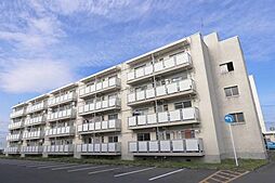 ビレッジハウス新井田3号棟 0209