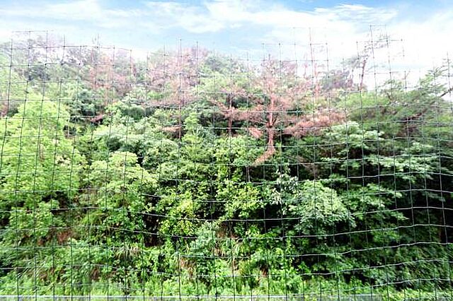ビレッジハウスの同一物件・同一タイプの間取りの写真です