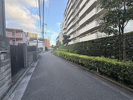 外観+前面道路