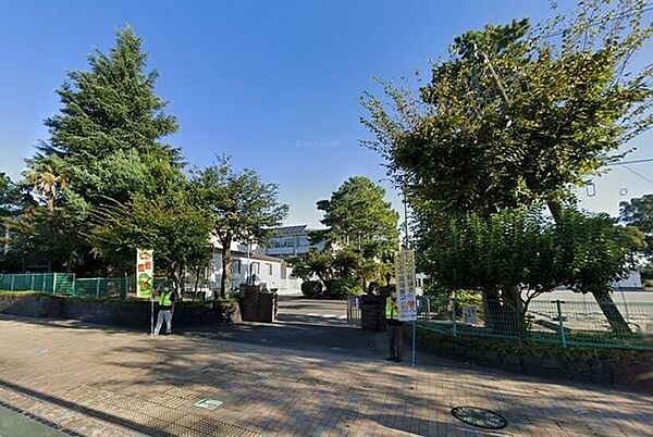 周辺を拡大表示