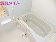 同型参考反転写真