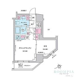 ステラメゾン三軒茶屋 1DKの間取図画像