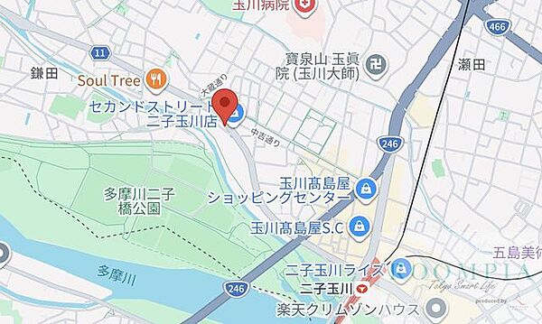 ブエナビスタ二子玉川