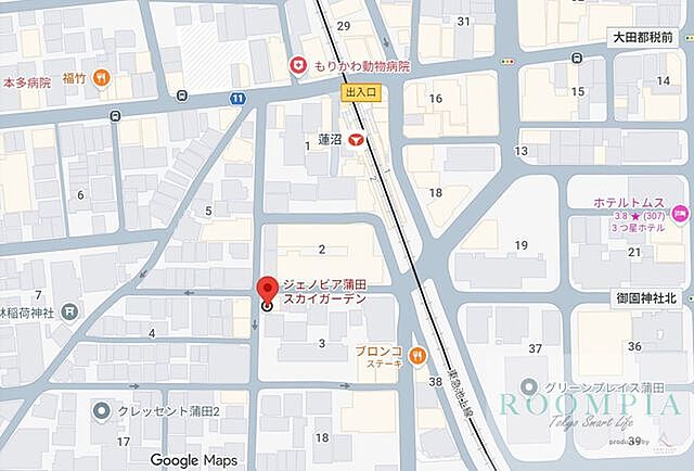 地図