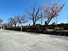周辺：隅田公園 徒歩5分。 390m