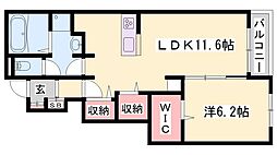 ラティオス 1階/-