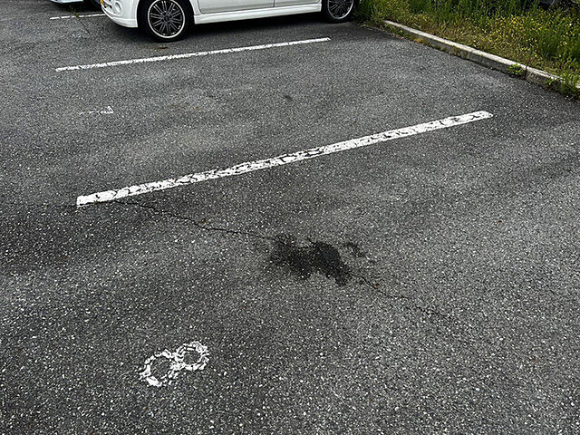 7 / 9