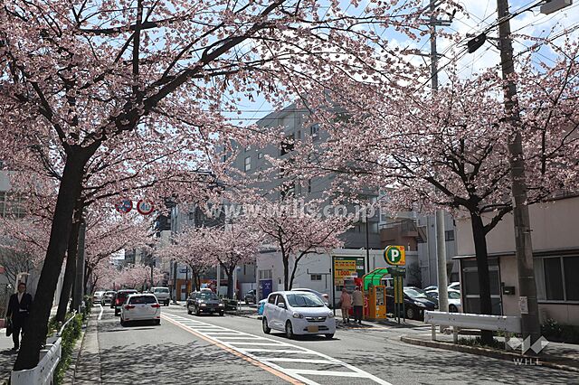 周辺 新栄グリーンハイツ 3階/-