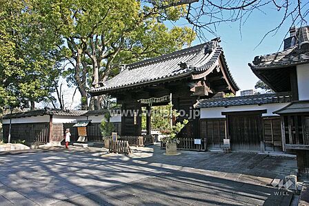 徳川園の外観