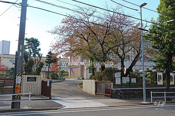 周辺を拡大表示