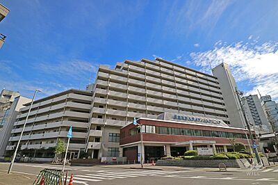 外観:東桜スカイハイツの外観(北側から) 外観:東桜スカイハイツの外観(北側から)