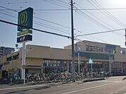 マミーマート東大宮店 1033m
