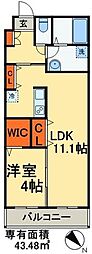 エリザベス 1LDKの間取図画像