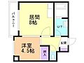 ヴィザージュ菊水3階3.6万円