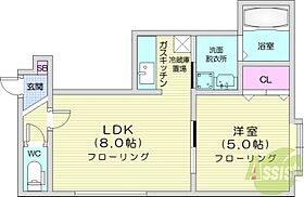 サンライズN5  ｜ 北海道札幌市中央区北五条西18丁目（賃貸アパート1LDK・2階・30.78㎡） その2