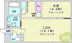 札幌市北区新琴似十条1丁目マンション 1LDKの間取図画像