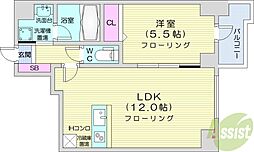 マストライフ南4条 1LDKの間取図画像