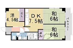 エクセリィ桂 2階/-