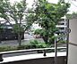 その他：白川通りの街路樹が目に優しいです。