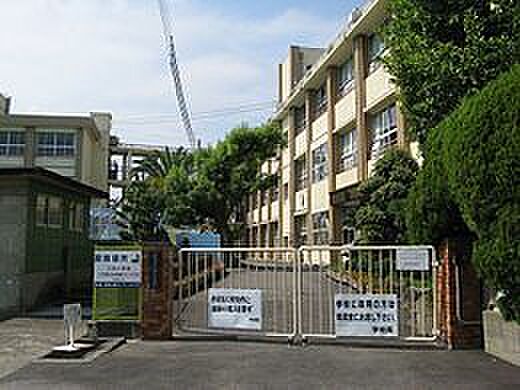画像28:小学校「和歌山市立川永小学校まで1261m」