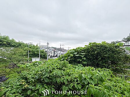 開放的で気持ちの良い眺望と青い空を満喫できます。