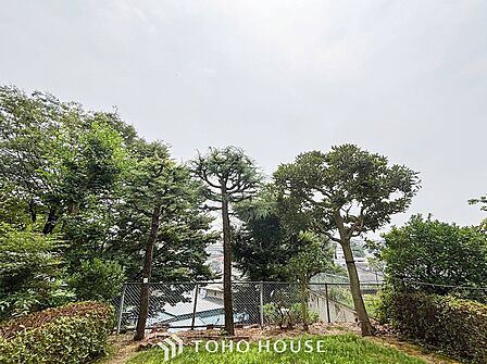 開放的で気持ちの良い眺望と青い空を満喫できます。