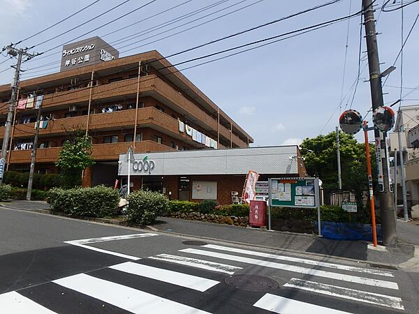 周辺を拡大表示