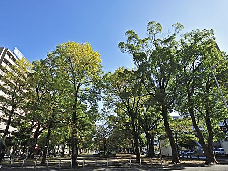 波のイメージのタイルのモザイクやオブジェがあり、自分流で楽しめる都会のオアシス的な公園です。