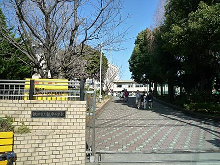 横浜市立根岸小学校
