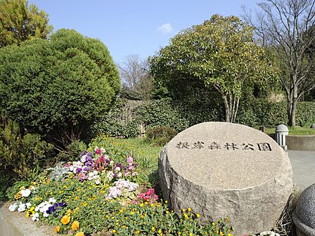 なだらかな敷地いっぱいに広がる芝生で、のびのび遊べる公園。春の桜は見事です!