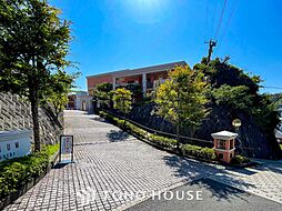 アデニウム葉山一色