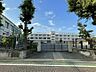 周辺：区立梅丘中学校まで（1200m）