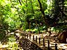 周辺：等々力渓谷まで（650m）
