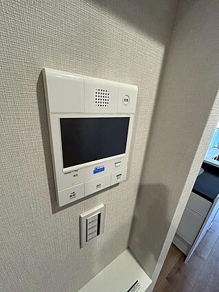 テレビモニター...