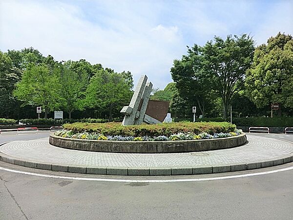 周辺を拡大表示