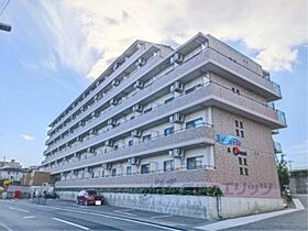 滋賀県草津市笠山４丁目（賃貸マンション1K・1階・24.00㎡） その1