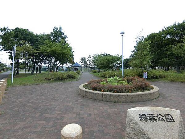 周辺を拡大表示