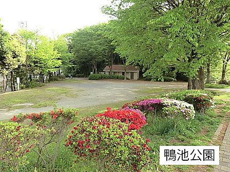 その他環境写真 100m 鴨池公園