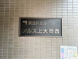 6 / 20