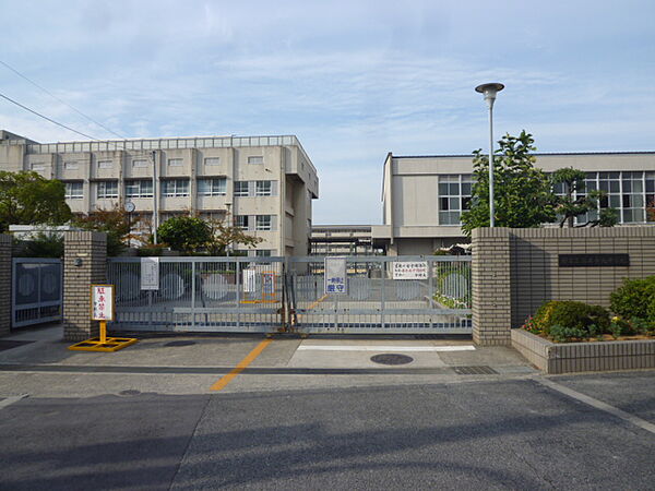 画像29:【中学校】堺市立 深井中学校まで703ｍ