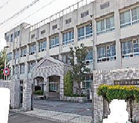 画像24:【小学校】堺市立 上野芝小学校まで804ｍ
