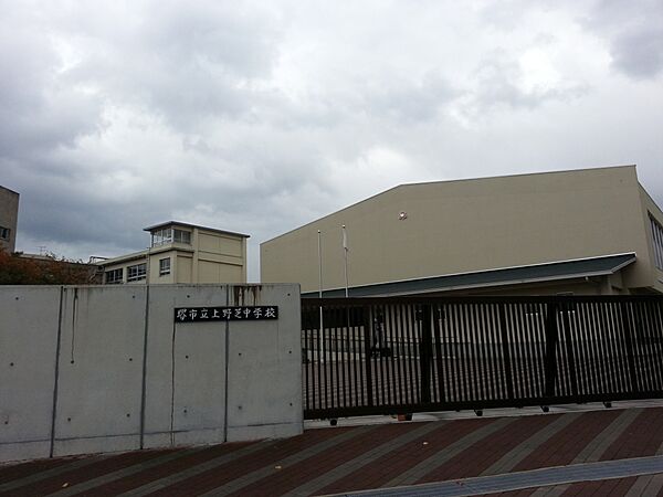 画像30:【中学校】堺市立 上野芝中学校まで192ｍ
