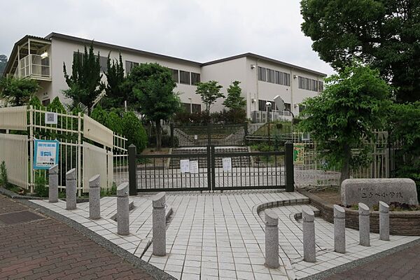 画像26:神戸市立こうべ小学校