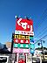 周辺：スギ薬局平坂店 1010m