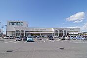 ジャパンミート卸売市場古河店 1750m