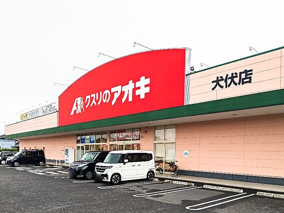 ピノン_周辺_3