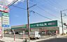 周辺：周辺環境-ドラッグストア(1100m)ドラッグセイムス新座野火止店