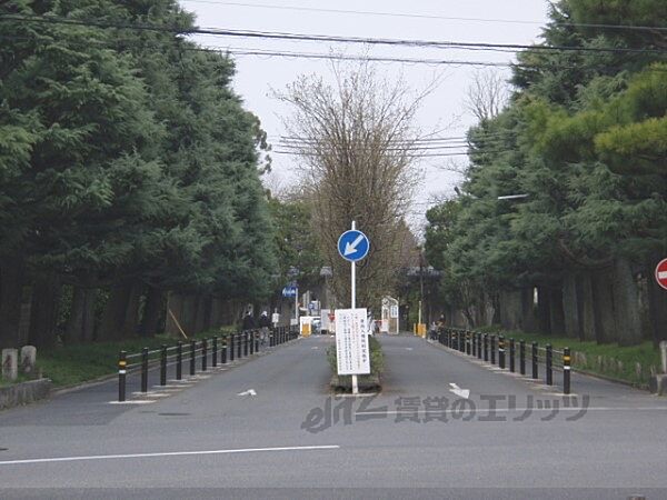 牧定荘 1｜京都府京都市左京区田中春菜町(賃貸アパート1R・1階・14.51㎡)の写真 その25